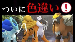 ポケモンgo みんなの動画